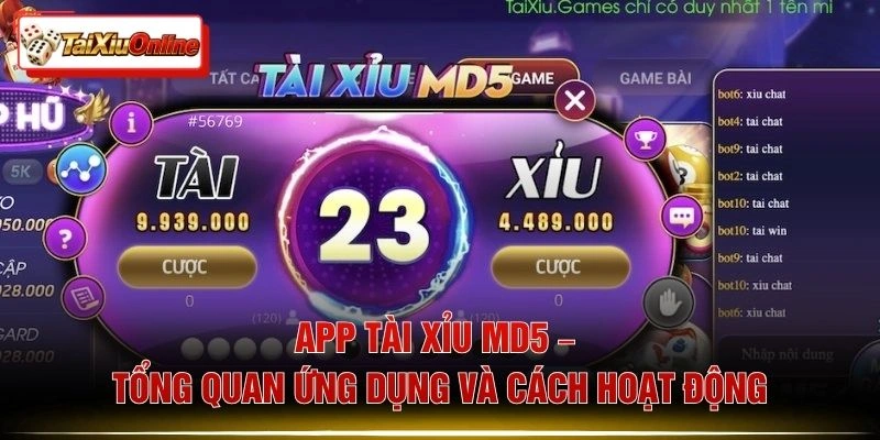 App Tài Xỉu MD5 – Tổng Quan Ứng Dụng Và Cách Hoạt Động